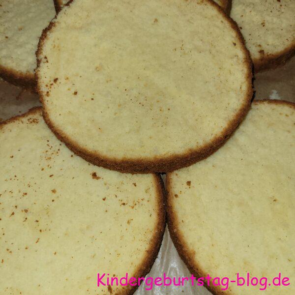Stracciatella-Quark-Torte mit Heidelbeeren - Kindergeburtstag-blog