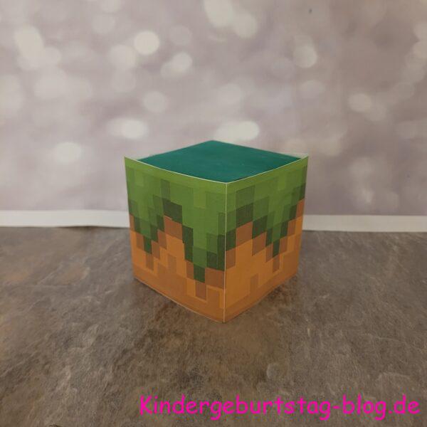 Minecraft Party DIY